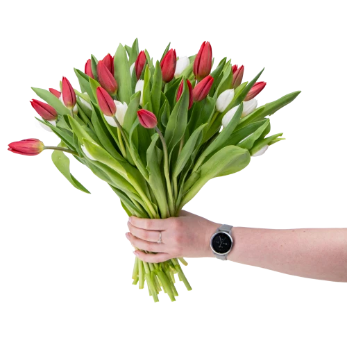 Bouquet of red tulips